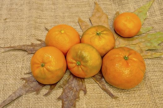 mandarin fruits with vitamin c in winter season