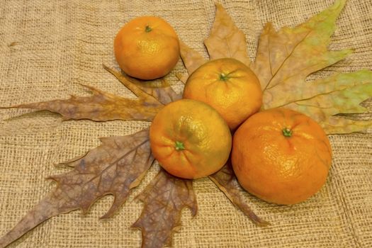 mandarin fruits with vitamin c in winter season