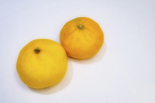 mandarin fruits with vitamin c in winter season