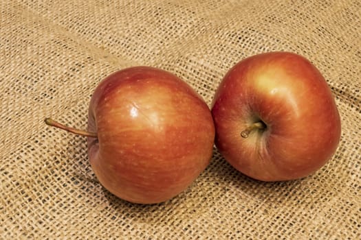 close up ready to eat apple fruit on background