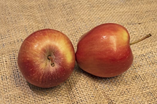 close up ready to eat apple fruit on background