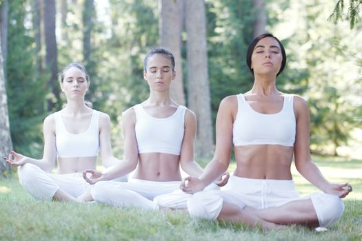 Women in white sportswear sitting in lotus position during group yoga training at park