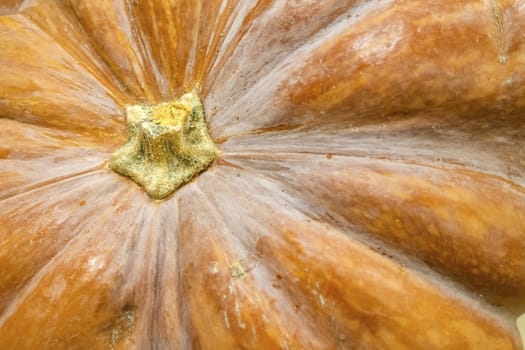 close up pumpkins in market stall