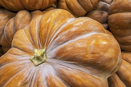 close up pumpkins in market stall