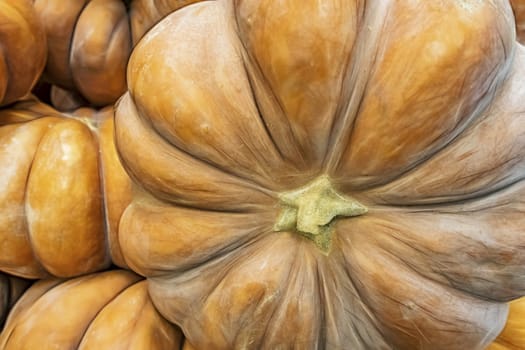 close up pumpkins in market stall