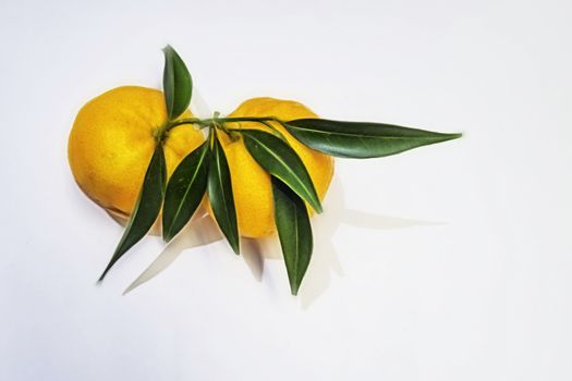 mandarin fruits with vitamin c in winter season