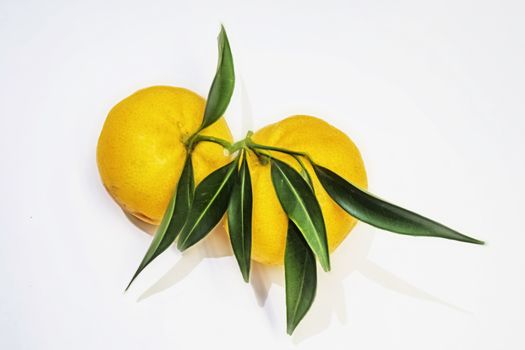 mandarin fruits with vitamin c in winter season