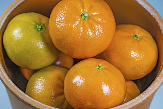 mandarin fruits with vitamin c in winter season