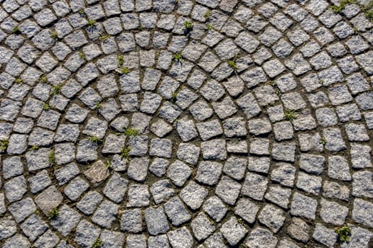 natural pattern view in nature for background and wallpaper