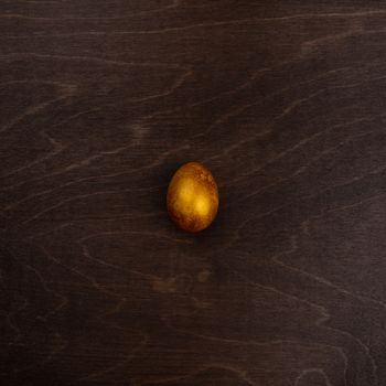 One big golden easter egg on dark wooden background copy space for text