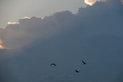 sky view for background and wallpaper