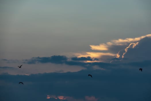 sky view for background and wallpaper