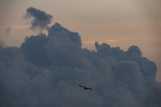 sky view for background and wallpaper