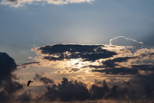 sky view for background and wallpaper
