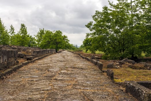 Ancient stone path and ruins in Dion site, Greece.