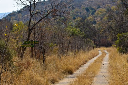 A trail route crossing sign with cement road in the African bush, Rustenburg, South Africa