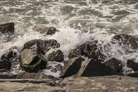 wavy sea view in nature for background and wallpaper