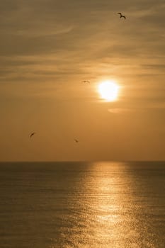 relaxing sea view in nature for background and wallpaper