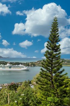 A fir tree overlooking the harbor of St Croix with a cruise ship in the background