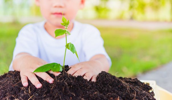 World Environment Day Environment Concept, Hand of Asian cute little cheerful child boy planting young tree on black soil on green garden background