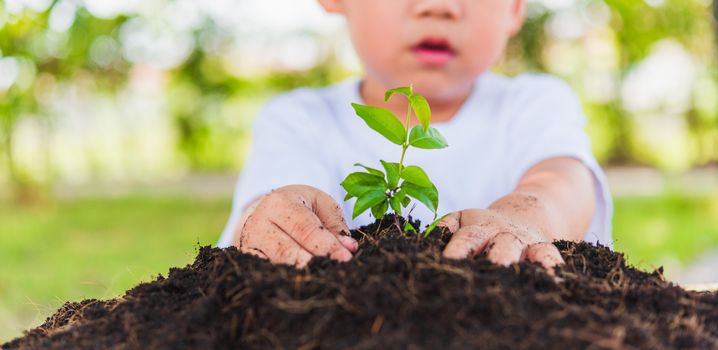 World Environment Day Environment and Save World Concept, Hand of Asian cute cheerful little child boy planting young tree on black soil on green garden background