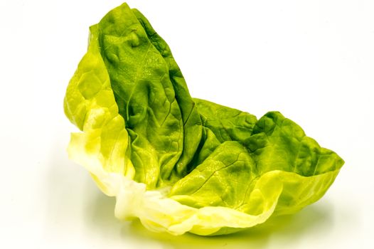 Fresh green lettuce salad leaf on a white background