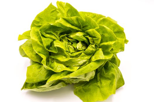 Fresh green lettuce salad on a white background