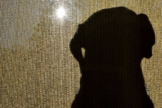 A silhouette of a black Labrador sitting at a mesh sliding door