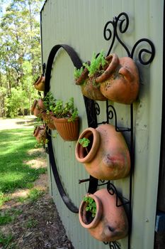 Pot Plant Wall Decoration