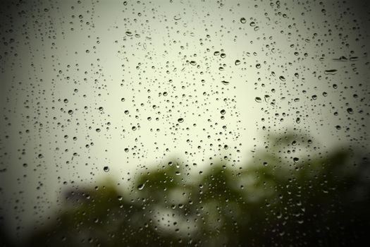 Rain droplets on glass