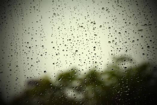 Rain droplets on glass