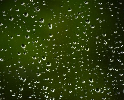 Rain droplets on glass