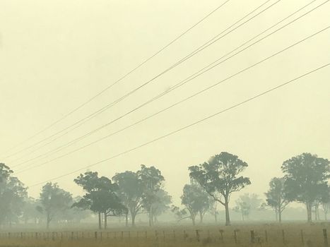 Smoke due to a bushfire in Victoria, Australia