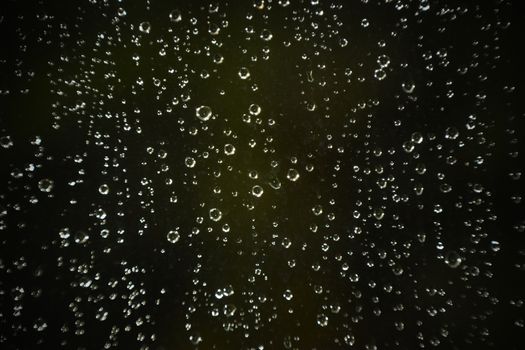 Rain droplets on glass