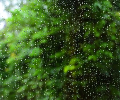 Rain droplets on glass