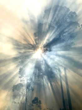 Smoke with sunlight from a bushfire in Australia