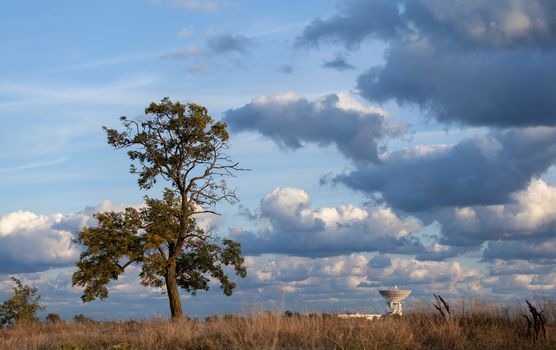lonely tree in a field against the sky and a radio telescope