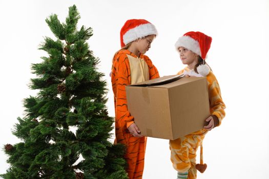 Girls at the Christmas tree hold boxes with New Year's toys.