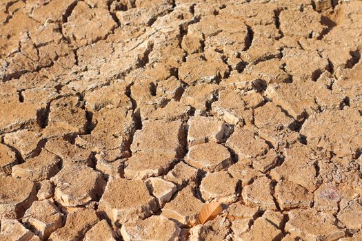 cracked soil textured background. Cracks on the dried soil in drought season