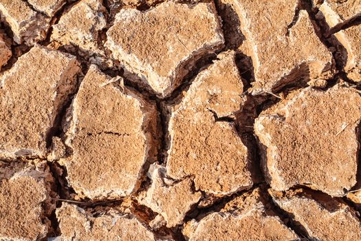 cracked soil textured background. Cracks on the dried soil in drought season