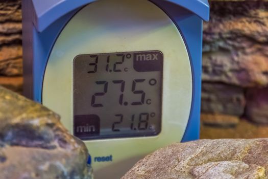 digital climate control thermometer for tropical pet keeping in a terrarium