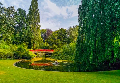 beautiful city park scenery of Valkenberg in breda, water lake with grass and willow tree, Nature scenery of the Netherlands