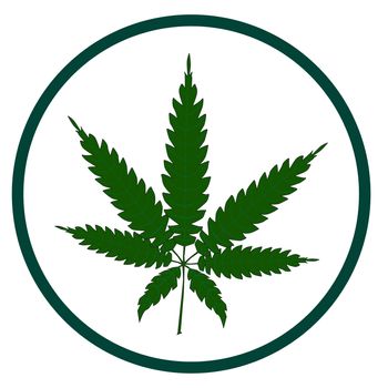 A cannabis leaf button isolated over a white background.