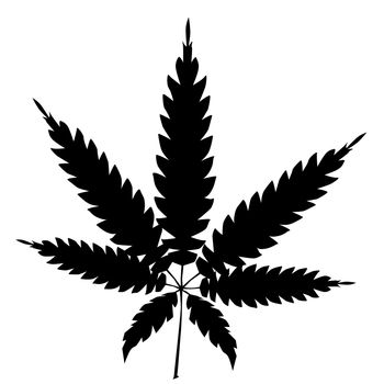 A cannabis leaf silhouette isolated over a white background.