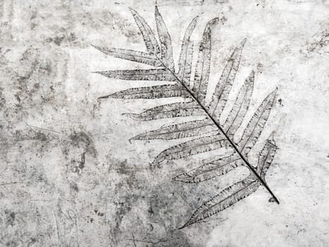 Leaf texture in concrete floor surface