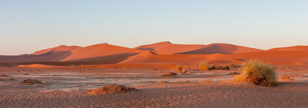 beautiful morning sunrise landscape, hidden Dead Vlei in Namib desert, view from top of dune with sun, Namibia, Africa wilderness landscape