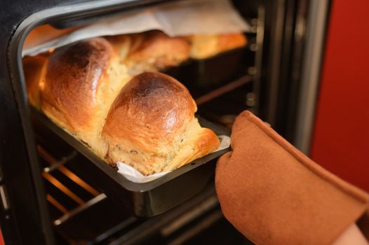 Romanian Easter bread – Cozonac in Oven