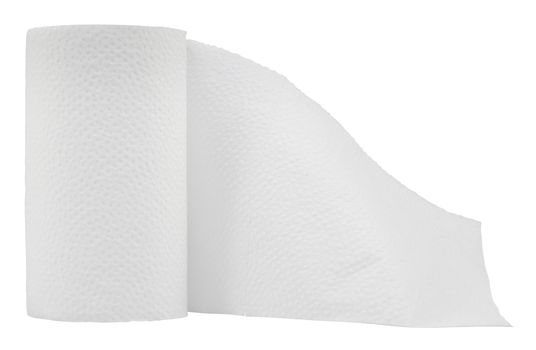 An Isolated Roll Of Toilet Paper On A White Background