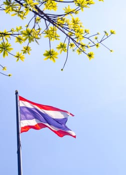 Thailand flag atop the flagpole and fresh leaves foreground and blue sky background