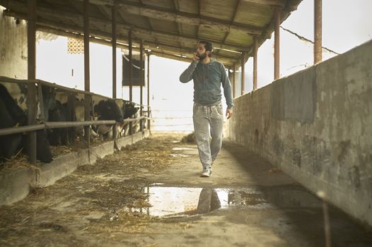 Young Farmer walks along the stable in Italy